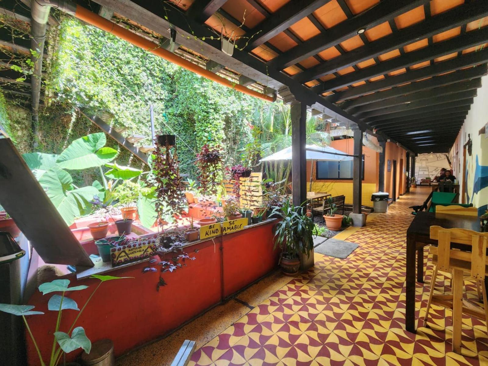 Amura Bed & Breakfast Antigua Bagian luar foto